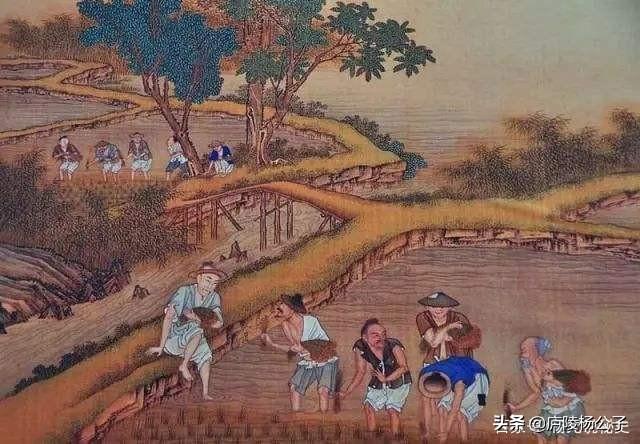 世代为农耕田地，家境贫苦创财富打一个正确生肖详细解答、构建解答解释落实