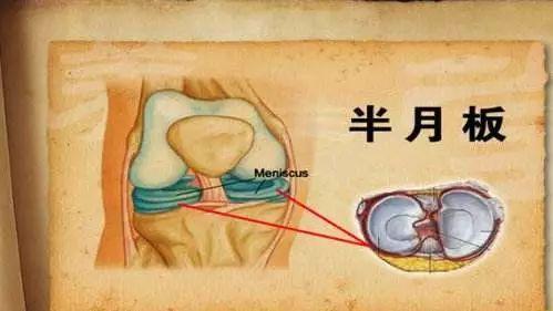 面不红气不喘游刃有余靠苦练是什么生肖，详细解答、实时解答解释落实