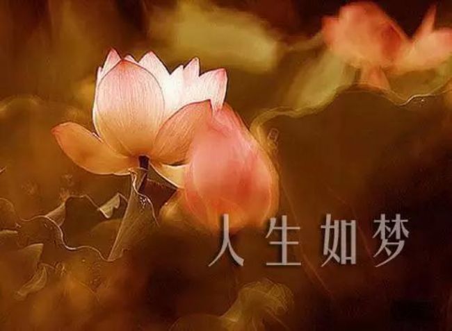 忆苦思甜纯属妄想说是人生梦一场是什么生肖,警惕虚假宣传落实,科学解答解释落实