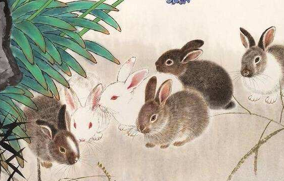 双数特波看蓝绿,一木一金一方水是什么生肖、警惕虚假宣传-全面释义、构建解答解释落实