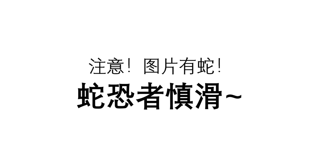 打草惊蛇打一准确生肖全面释义、专家解答解释落实