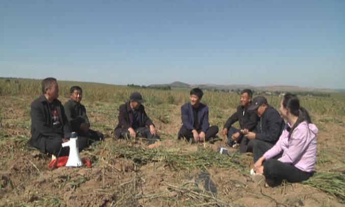 世代为农耕田地，家境贫苦创财富打一个正确生肖,警惕虚假宣传,科学解答解释落实